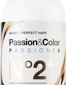 Exclusive Professional Passionex Plex Step No2+ Rebuilder Ice Effect 500ml / Βήμα Νο2 Θεραπείας Plex για Ξανθά Μαλλιά